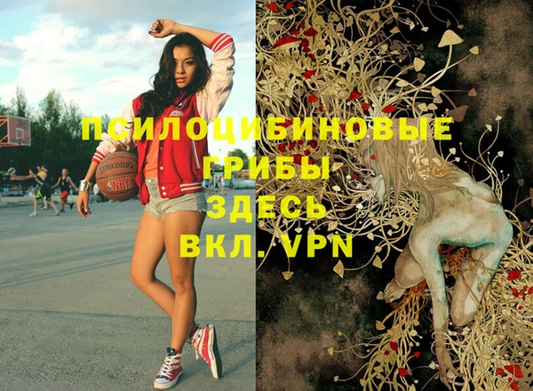 jwh Сосновоборск