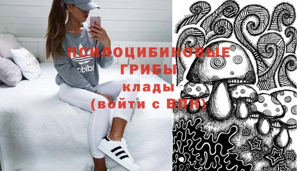молекула духа Сосновка