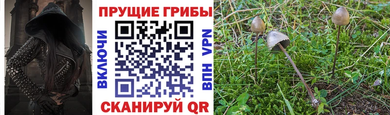 Галлюциногенные грибы ЛСД  кракен tor  Волгореченск 